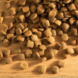 Hubertus Gold Dog Food 14kg